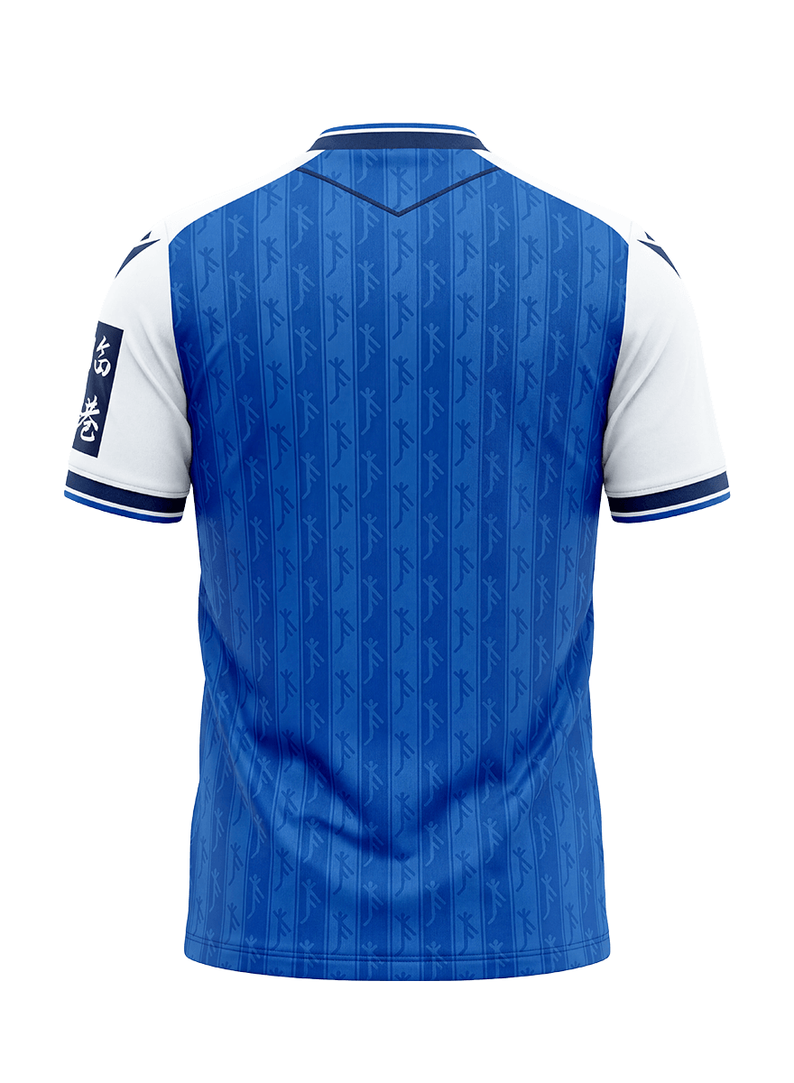 TSG 1899 Hoffenheim - Heimtrikot