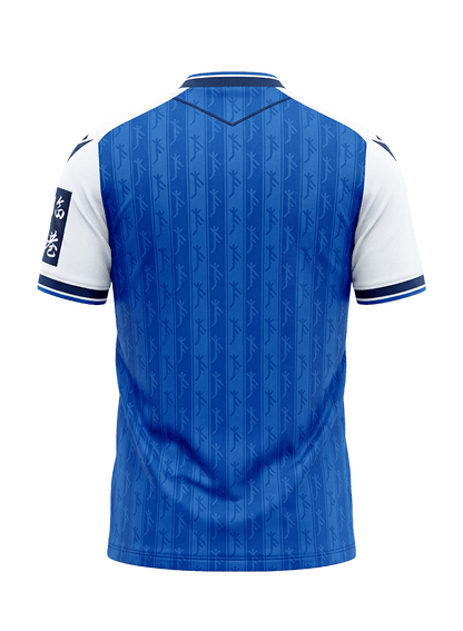 TSG 1899 Hoffenheim - Heimtrikot