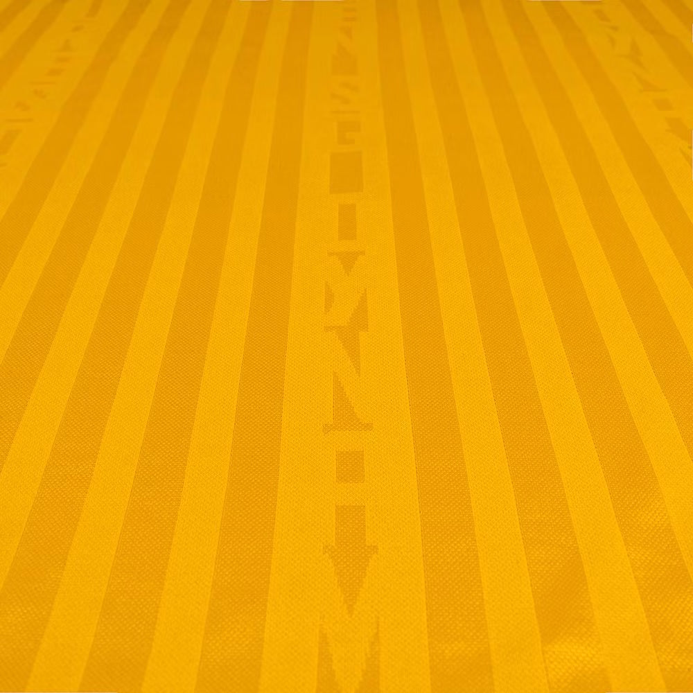 SG Dynamo Dresden - Heimtrikot