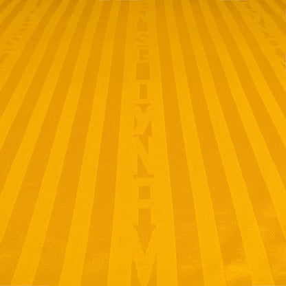 SG Dynamo Dresden - Heimtrikot